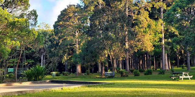 Curepipe Botanical Garden (4)